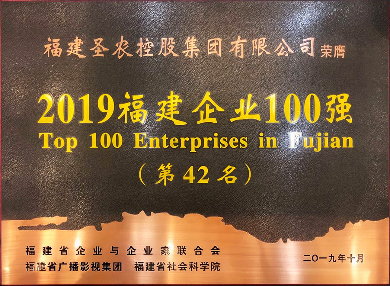 2019（九卅娱乐集团）福建企业100强